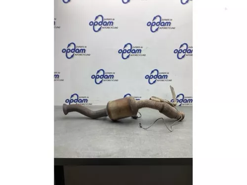 Katalysator-8028213