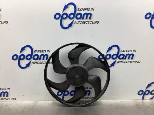 Koelvin Motor-7890993