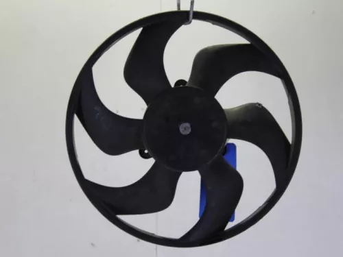 Koelvin Motor-7894681