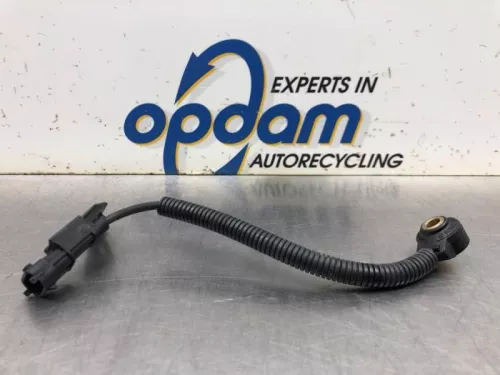 Pingelsensor-7940559