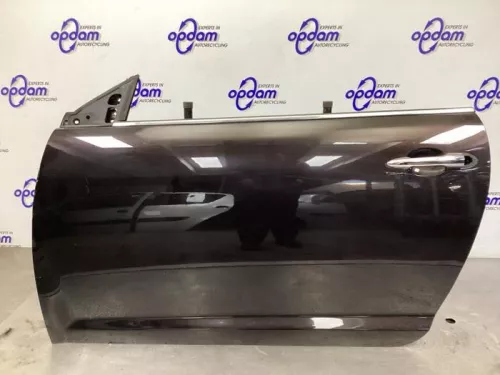 Portier 2Deurs links-8167482