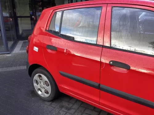 Portier 4Deurs rechts-achter-8237693