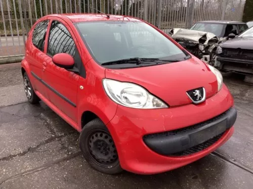 Portier 4Deurs rechts-achter-8295403