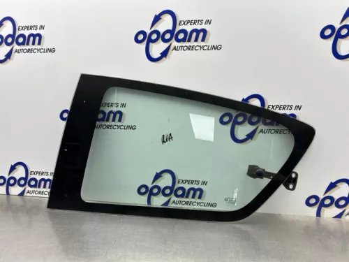 Portierruit 4Deurs links-achter-8315379