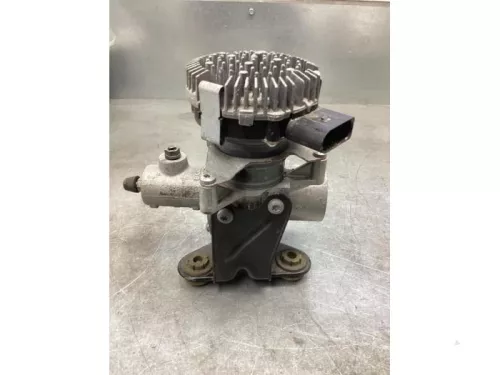 Rembekrachtiger-8254635