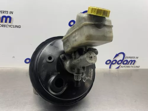 Rembekrachtiger-8310699