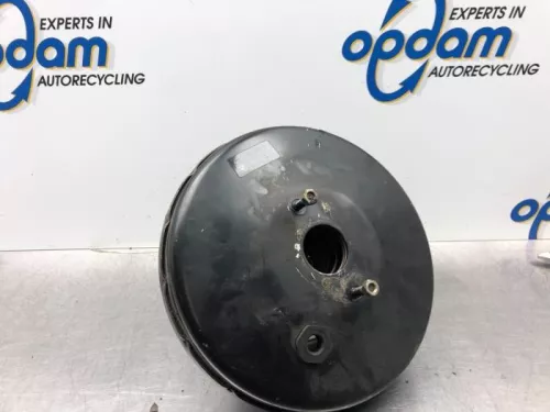 Rembekrachtiger-7916411