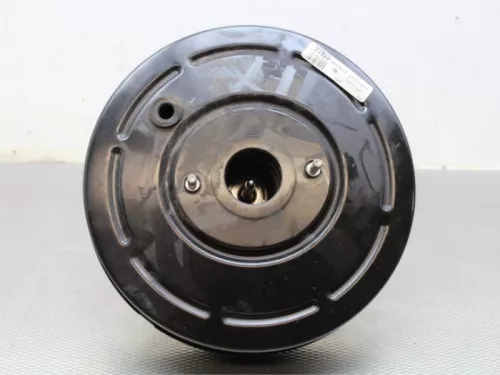 Rembekrachtiger-7883704