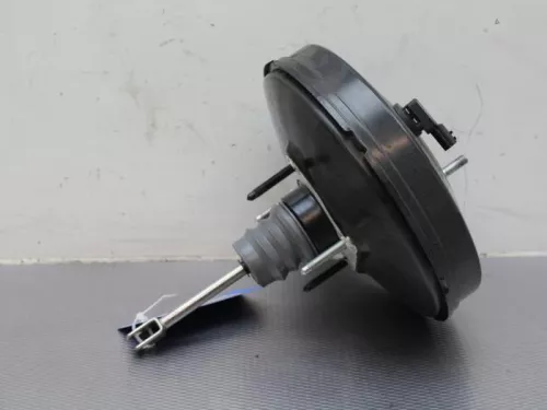 Rembekrachtiger-7885032