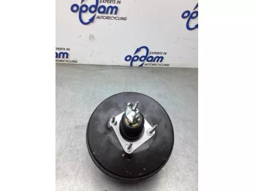 Rembekrachtiger-8317721