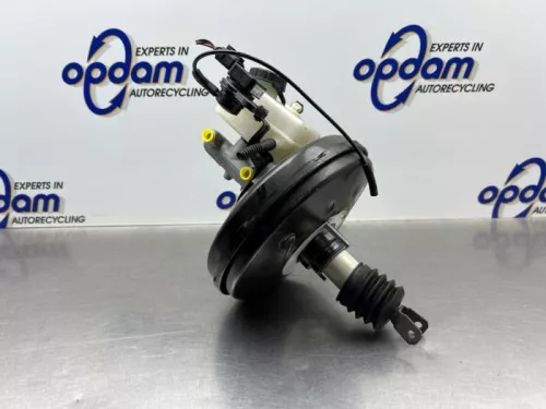 Rembekrachtiger-8238113