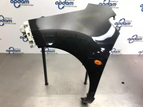 Scherm links-voor-7613480