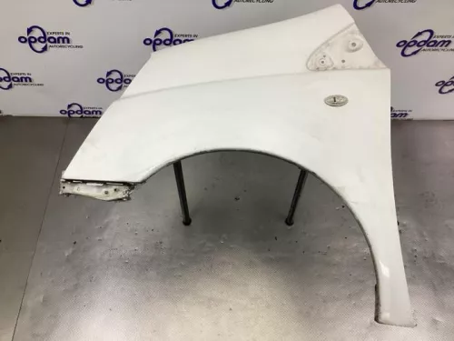 Scherm links-voor-8200752