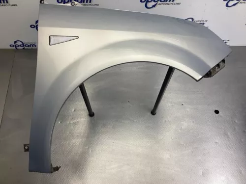 Scherm rechts-voor-7923783