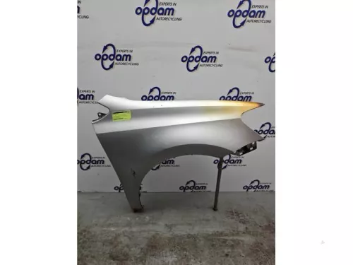 Scherm rechts-voor-8326061