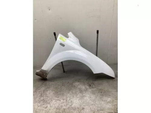 Scherm rechts-voor-8162821