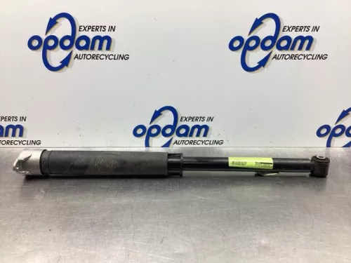 Schokdemper links-achter-6495926