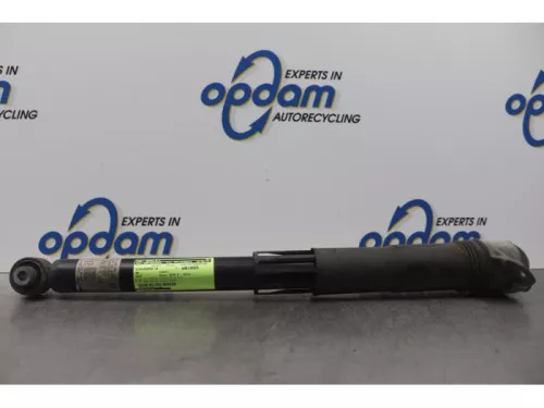 Schokdemper links-achter-7612419