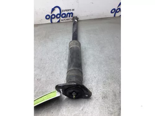 Schokdemper links-achter-8195268