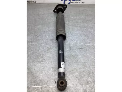 Schokdemper rechts-achter-6616250