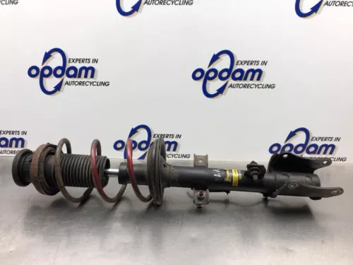 Schokdemperpoot links-achter-8242837