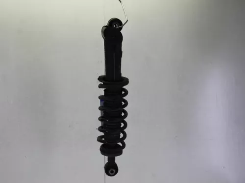 Schokdemperpoot links-achter-7544461