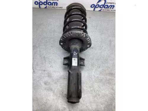 Schokdemperpoot links-voor-8171269