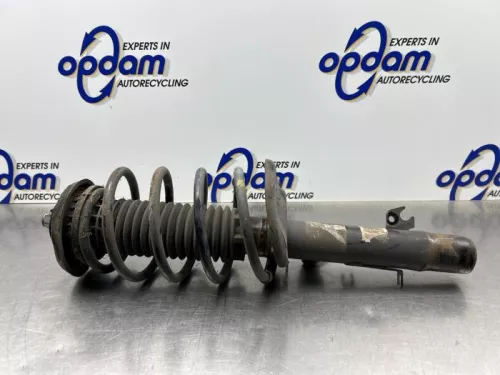 Schokdemperpoot links-voor-8184557