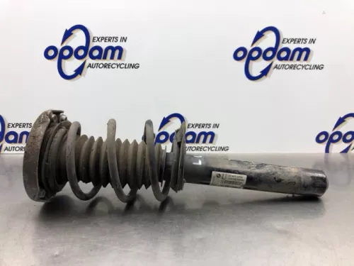 Schokdemperpoot links-voor-8163393