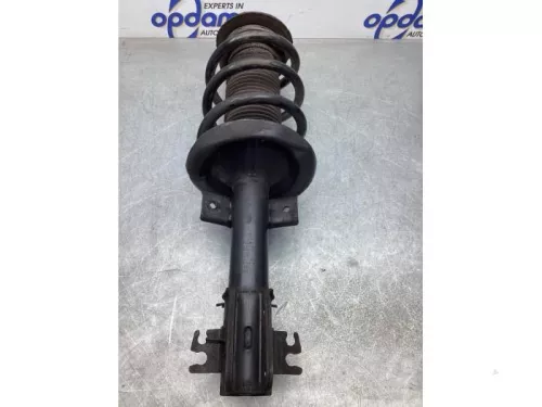 Schokdemperpoot links-voor-8029142