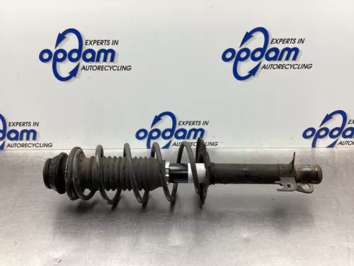 Schokdemperpoot links-voor-7614235