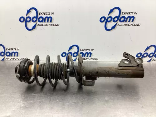 Schokdemperpoot links-voor-7989722