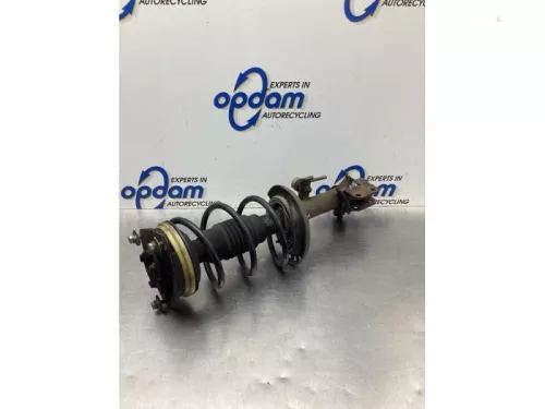 Schokdemperpoot links-voor-8053647