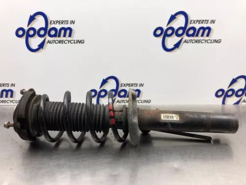 Schokdemperpoot links-voor-8222342