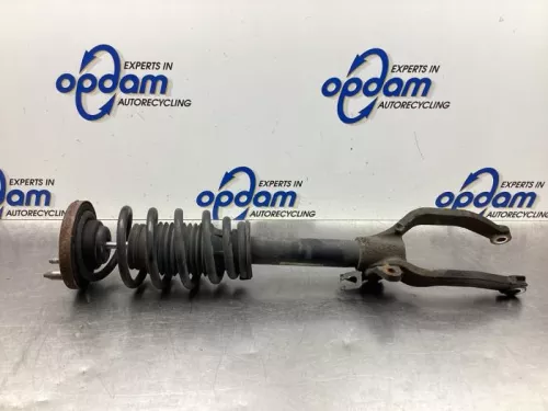 Schokdemperpoot links-voor-8064516