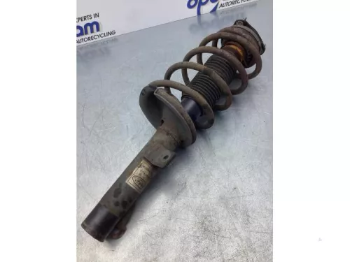 Schokdemperpoot links-voor-7614722