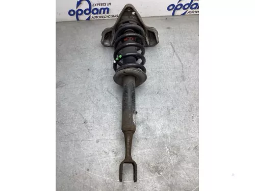 Schokdemperpoot links-voor-8259960