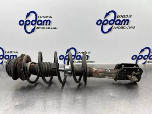 Schokdemperpoot links-voor-8291696