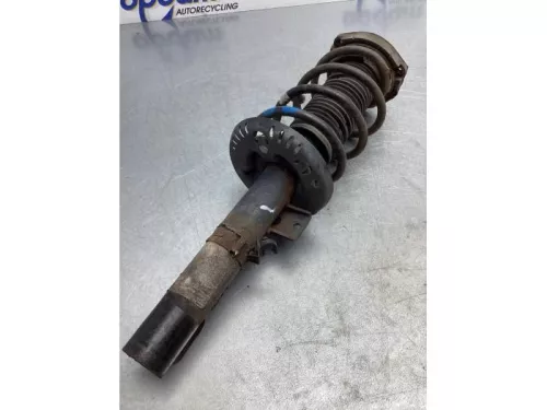 Schokdemperpoot links-voor-7319175