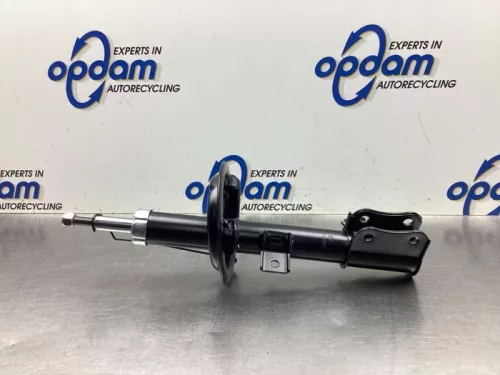 Schokdemperpoot links-voor-