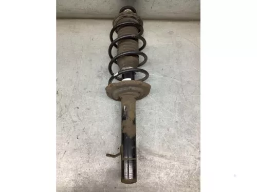 Schokdemperpoot links-voor-8255626