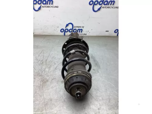 Schokdemperpoot links-voor-8220600