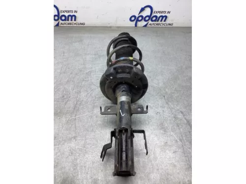 Schokdemperpoot links-voor-8058938