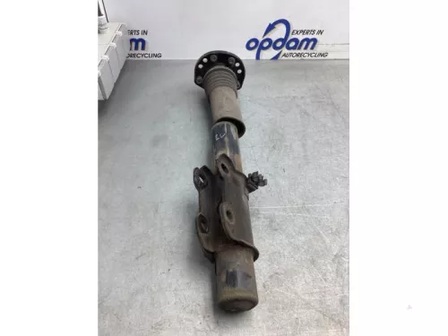 Schokdemperpoot links-voor-8114858