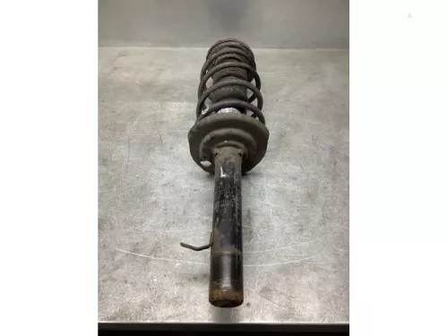 Schokdemperpoot links-voor-8204444