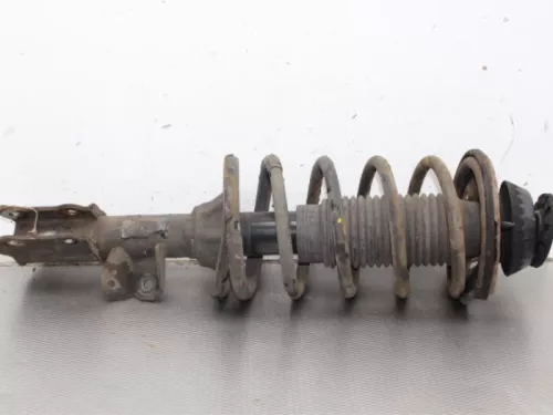 Schokdemperpoot links-voor-7844797