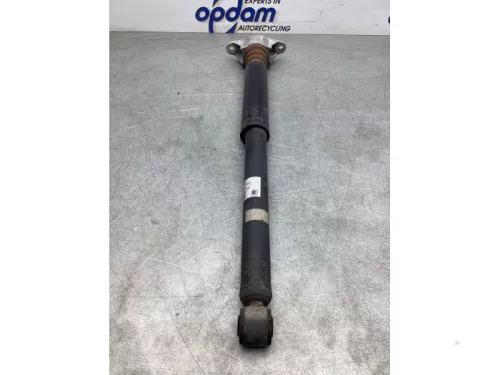 Schokdemperpoot rechts-achter-6916430