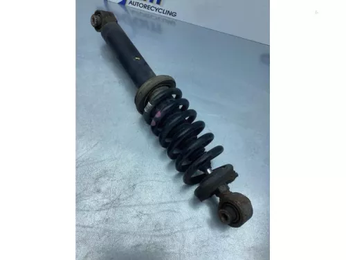 Schokdemperpoot rechts-achter-6921054