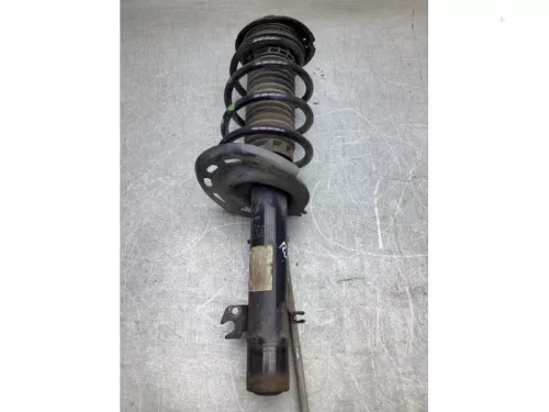 Schokdemperpoot rechts-voor-7864055