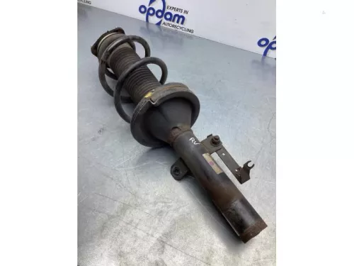 Schokdemperpoot rechts-voor-7844984